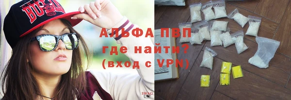 прущие грибы Куйбышев